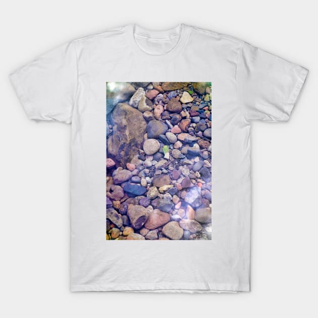 Iao Valley State Monument Study 11 T-Shirt by bobmeyers